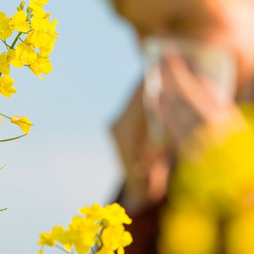 Alergia na pyłki traw, czyli wiosenna zmora Polaków