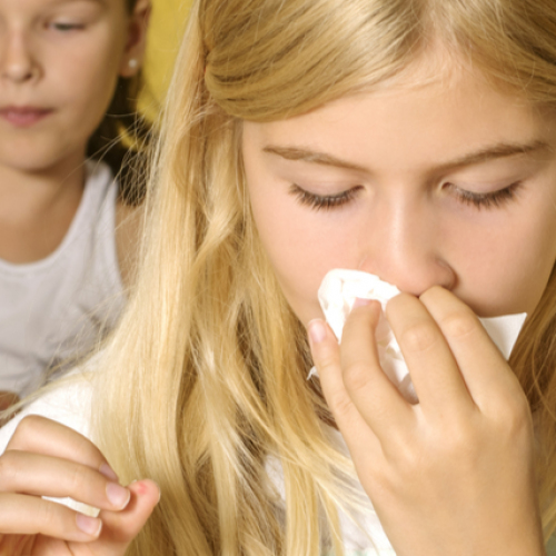 Momester Nasal Lek Na Alergi W Postaci Sprayu Do Nosa