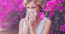 Allertec porada 3