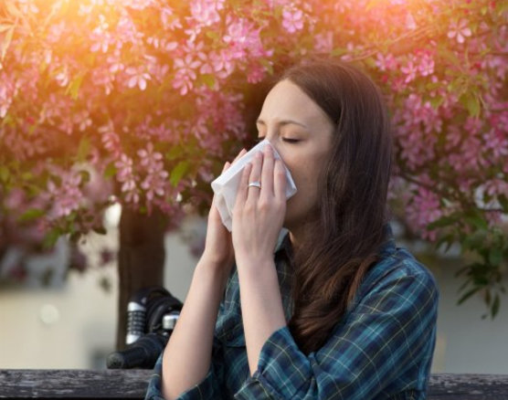 Allertec porada 0